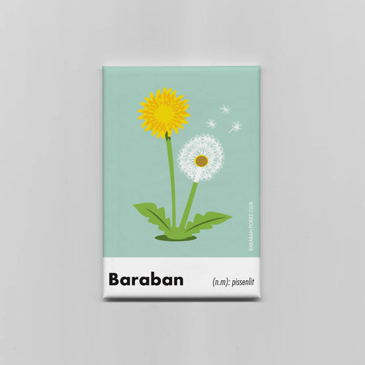 Magnet Aimant - Baraban définition