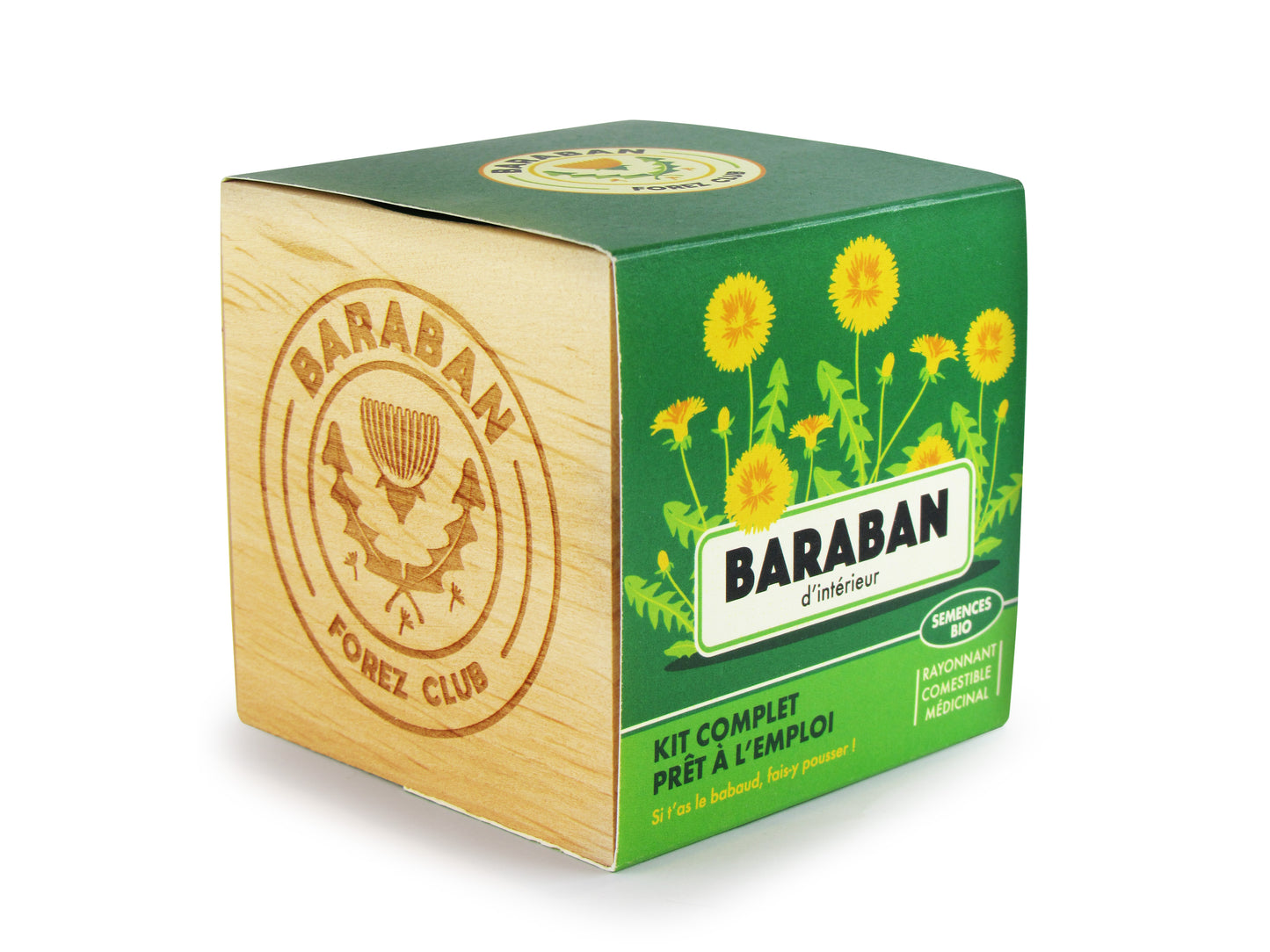 Kit germination Baraban Pissenlit - Culture intérieur