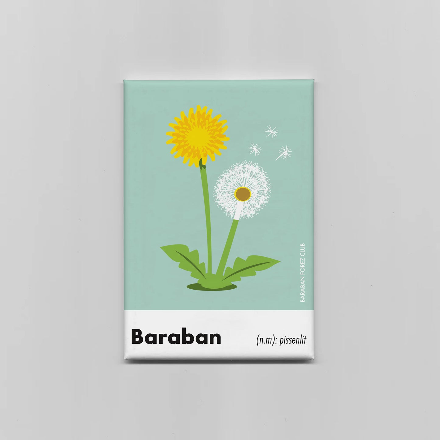 Magnet Aimant - Baraban définition