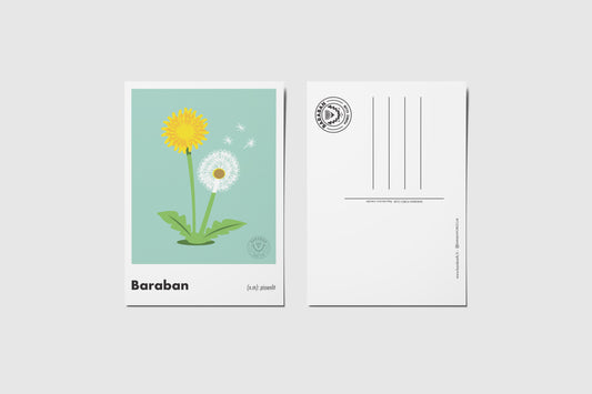 Carte postale Baraban