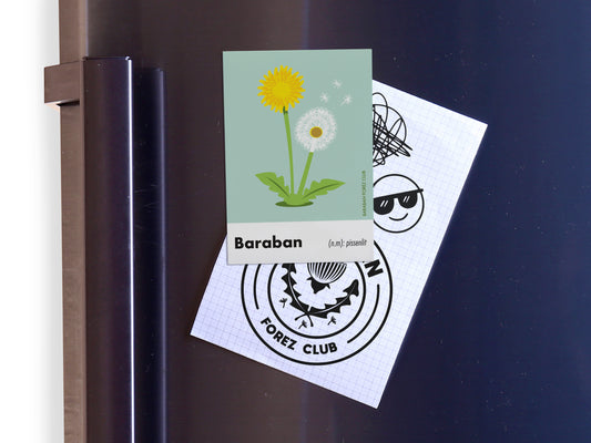 Magnet Aimant - Baraban définition